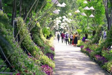 Nha Trang - Đảo Nha Phu 1 Ngày