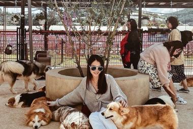 Tour Check-in Đà Lạt 1N