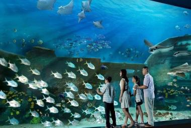 Tour Đi Singapore Malaysia: HCM - Singapore - Malaysia 5N4Đ, Khách Sạn 3, 4* - Khởi Hành Hàng Tuần & Lễ 2/9