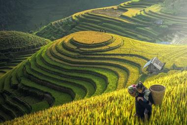 Vinh - Hà Nội - Sapa 2N2Đ