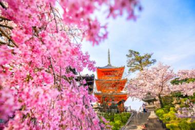 Cần Thơ - Tokyo - Fuji - Yamanashi 5N4Đ + Bay All Nippon Airways